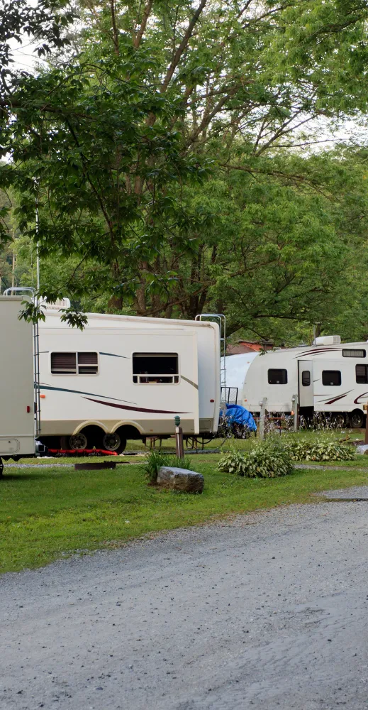 A peaceful campsite features two RVs parked on a grassy area, surrounded by lush trees. The setting conveys a calm and serene outdoor atmosphere.